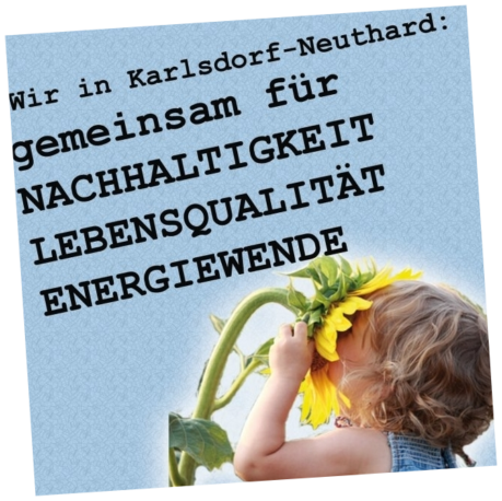 Sonnenblume Sonnenblume